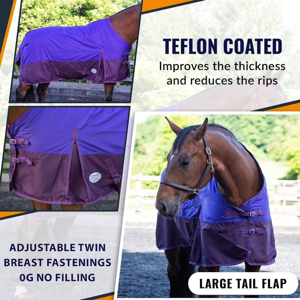 image 1 of eQuitack 600D Waterproof Horse Turnout Rug 0g No Fill Regular Neck Purple/Plum 6'6''
