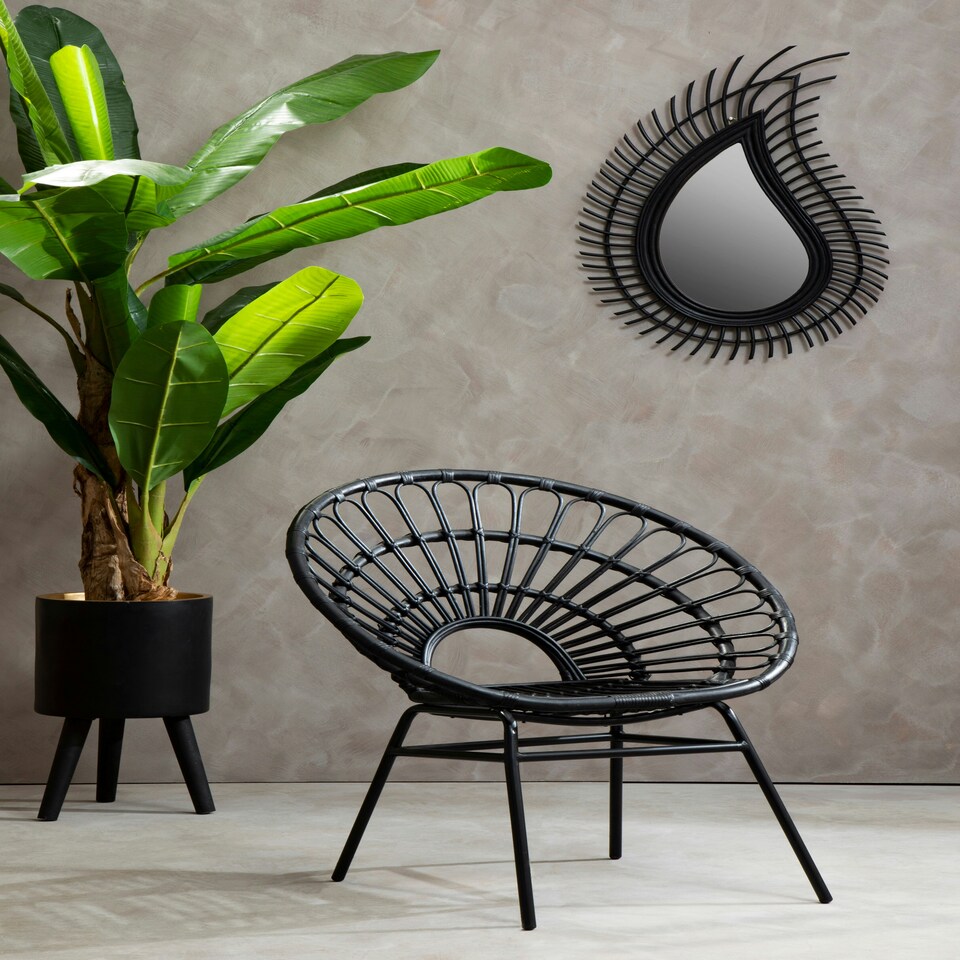 image 1 of Interiors by Premier Natural Rattan Black Round Petal Chair with Black Metal Legs, Rattan Dining Chair, Rattan Lounge Chair Black
