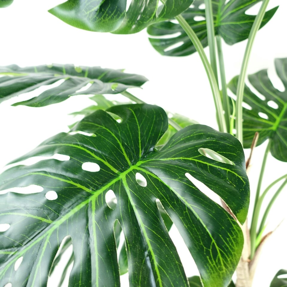 image 1 of Artificial Monstera Plant 150cm Luxury Cheese Plant 5ft Tall Botanik