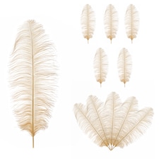 50cm - 60cm Large Ostrich Feathers, Showgirl Spadones - 5pcs