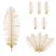 image 1 of 50cm - 60cm Large Ostrich Feathers, Showgirl Spadones - 5pcs