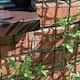 image 2 of True Products Climbing Plant Support Mesh Pea Bean Garden Trellis 50mm x 50mm Brown 0.5m x 5m