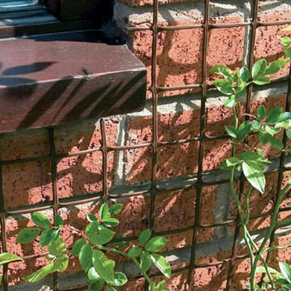 image 1 of True Products Climbing Plant Support Mesh Pea Bean Garden Trellis 50mm x 50mm Brown 0.5m x 5m