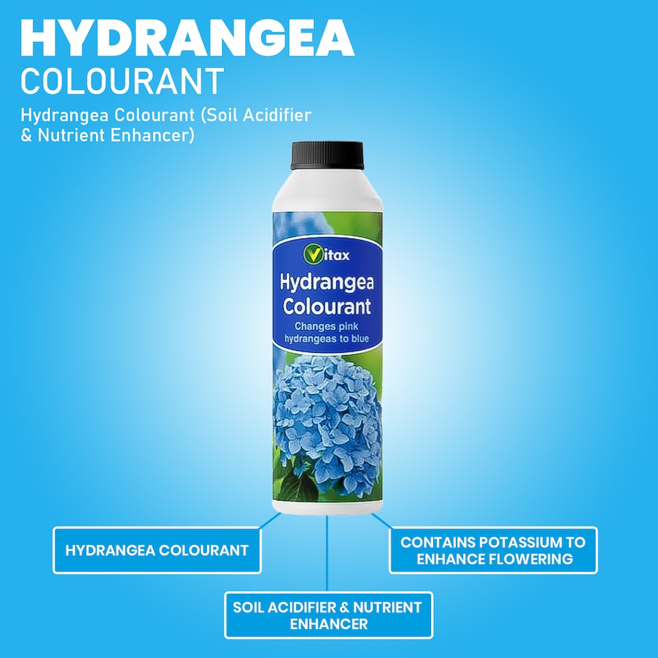 image 1 of Vitax Hydrangea Colourant 250g Pack of 2 Turns Pink Flowers Blue & Mauve Enhances Blooms and Plant Health