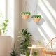 image 2 of HOMCOM Pack of 2 Faux Plant Artificial Lisianthus Flowers, Hanging Planters with Basket, PE Leaves, 18 Flowers and 3 Pinecones, Decorative Faux Plants for Home Office Decor, Green