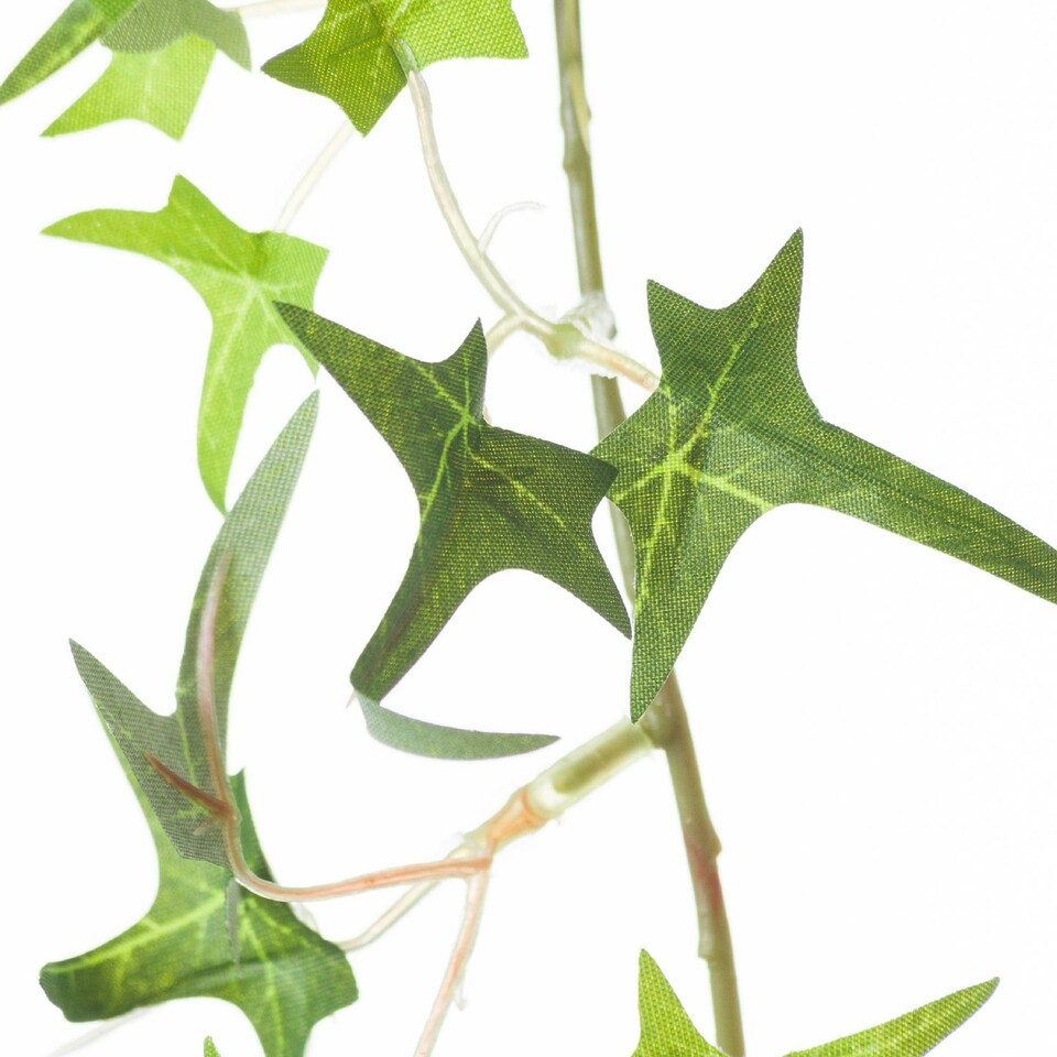 image 1 of Hill Interiors Ivy Garland - Green - 170cm x 5cm x 5cm