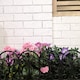 image 1 of 6 x 23cm 4 Piece Black Ornate Garden Border Fence Edging
