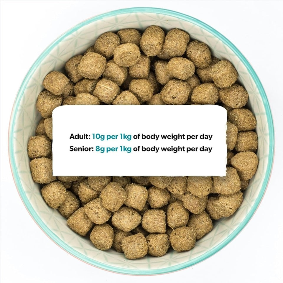 image 1 of Burns Weight Control Chicken & Oats Adult & Senior Dry Dog Food - 6 kg