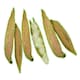 image 1 of 3Pk Small Animals Hamsters, Mice, Gerbils Naturals Play n Bedding Pods