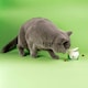 image 4 of Calming Chew for Cats