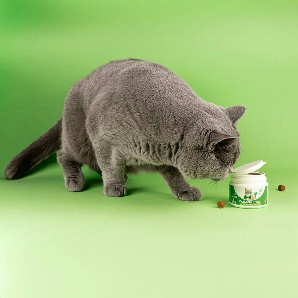 image 1 of Calming Chew for Cats