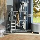 image 10 of Cat Tree Marcel - 141 cm, sisal cat scratching post - Black