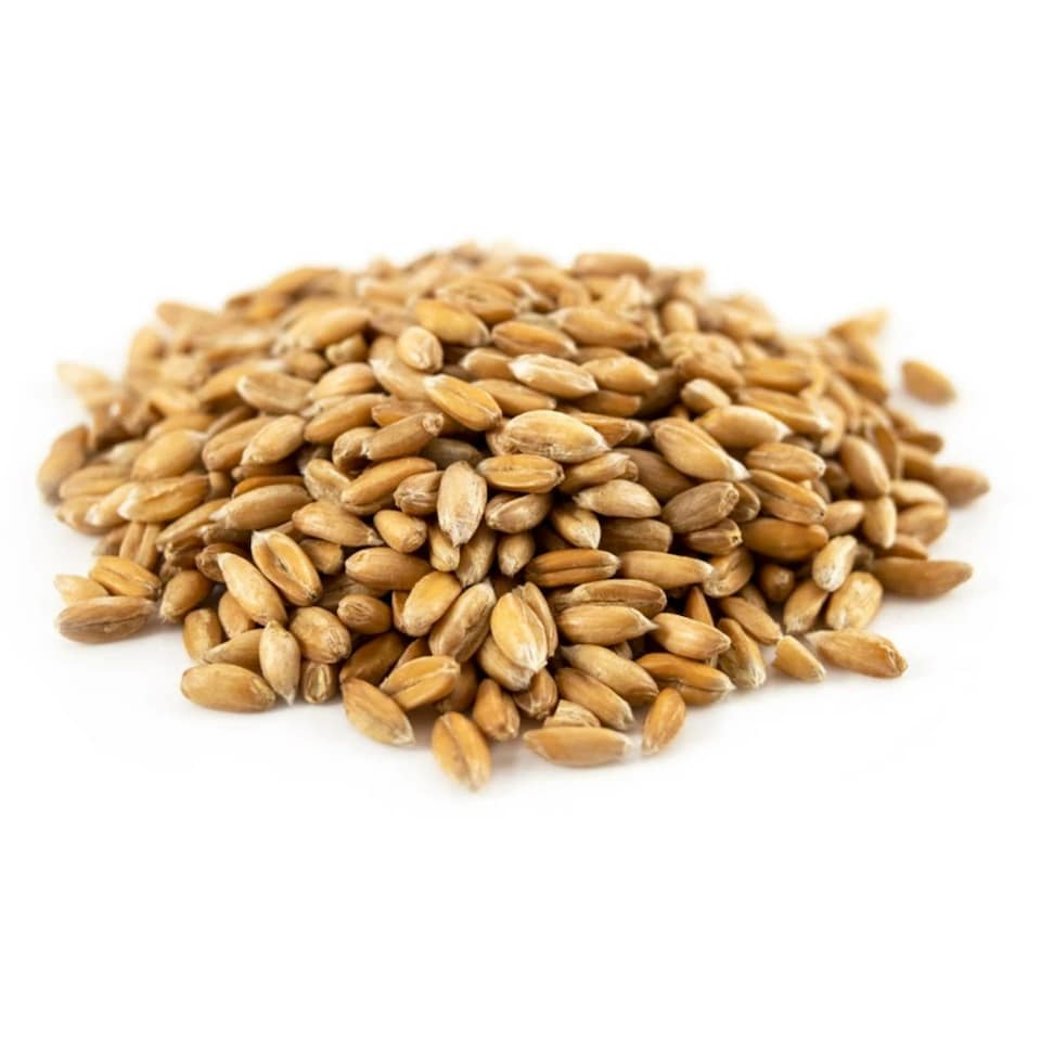 image 1 of Organic Spelt Grain 1kg (Sussex Wholefoods)