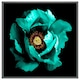 image 3 of Cyan peony flower (Picutre Frame) Black | M