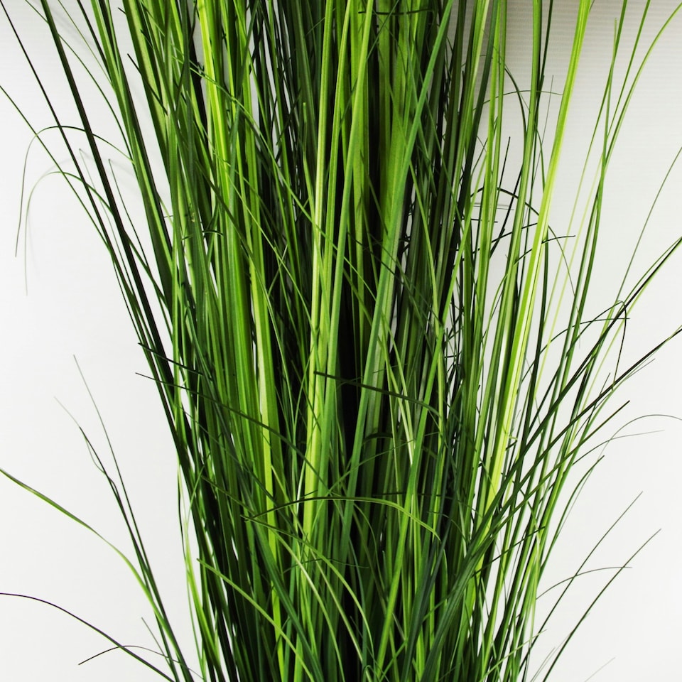 image 1 of Artificial 130cm Onion Grass Plant with Gold Metal Planter