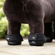image 4 of LeMieux Toy Pony Over Reach Boots Black | One Size