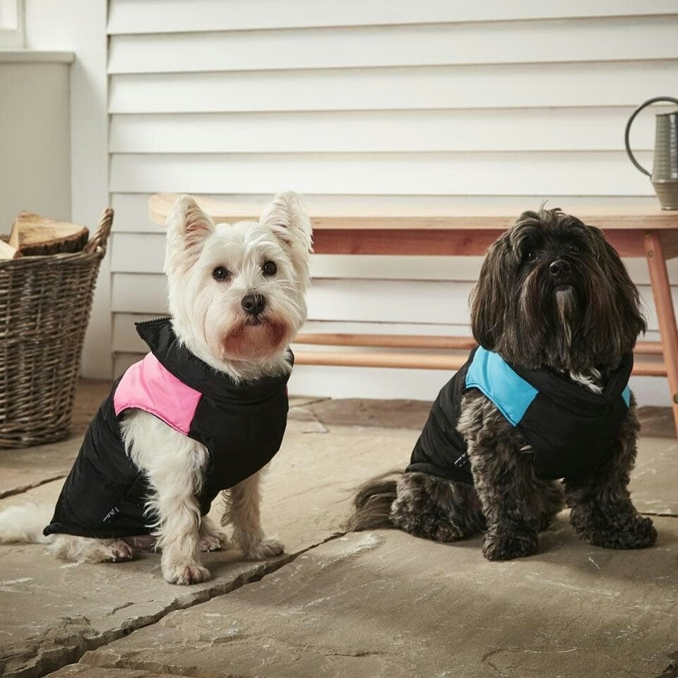 image 1 of Dog Puffer Jacket - Bunty Blue | XL