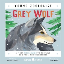 Grey Wolf (young Zoologist)
