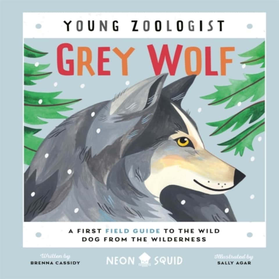 Grey Wolf (young Zoologist)