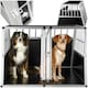 image 1 of Dog Crate Double - angled back wall, aluminium transport box, lockable