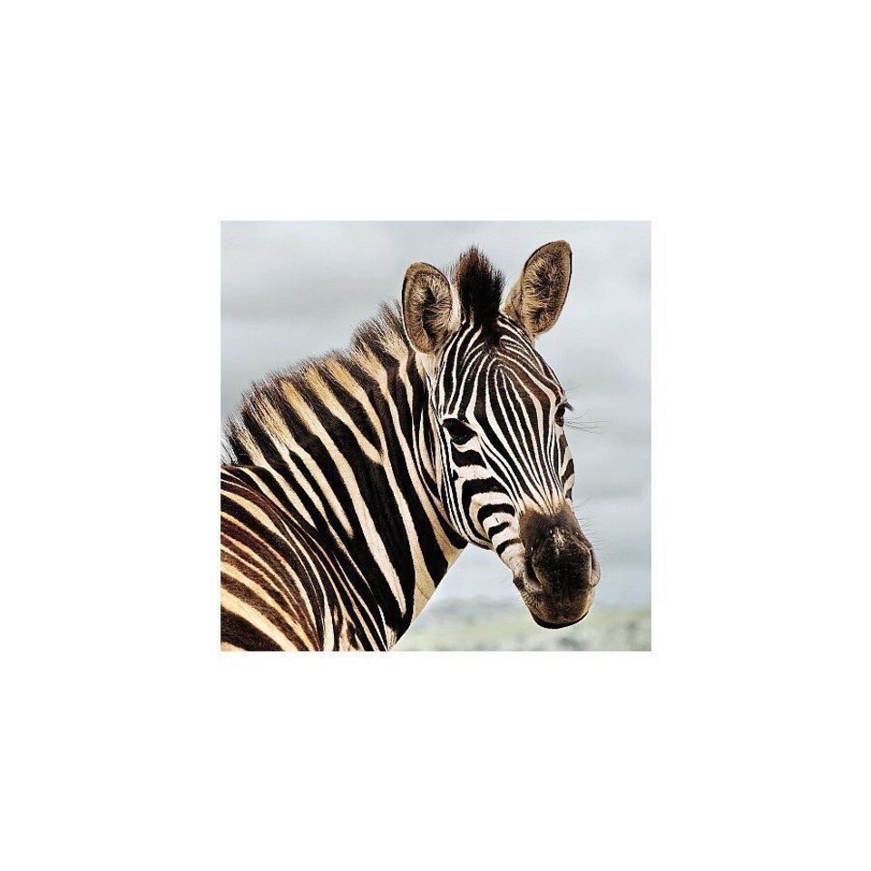image 1 of Amazing 3D Effect Holographic Greeting Card Up Close Zebra