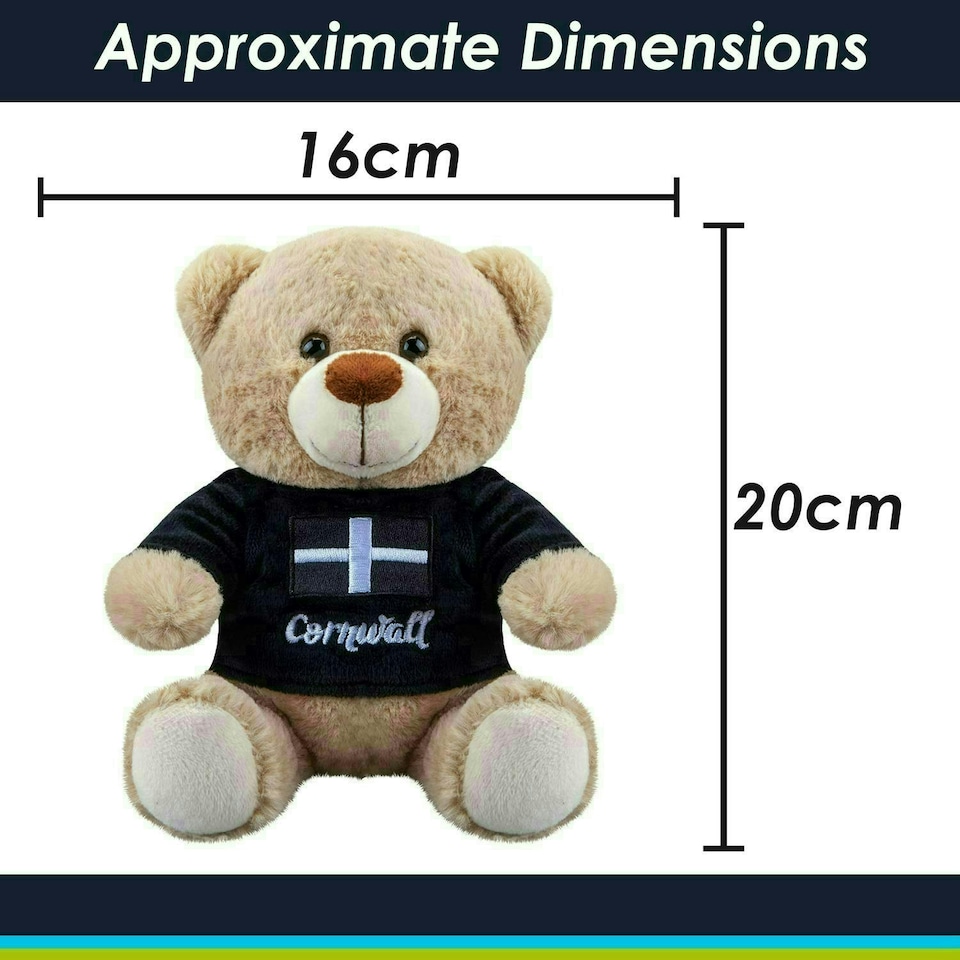 image 1 of Cornwall Bear Soft Toy Cute Plushie Huggable Cuddly Stuffed Toy Gift 20cm Black