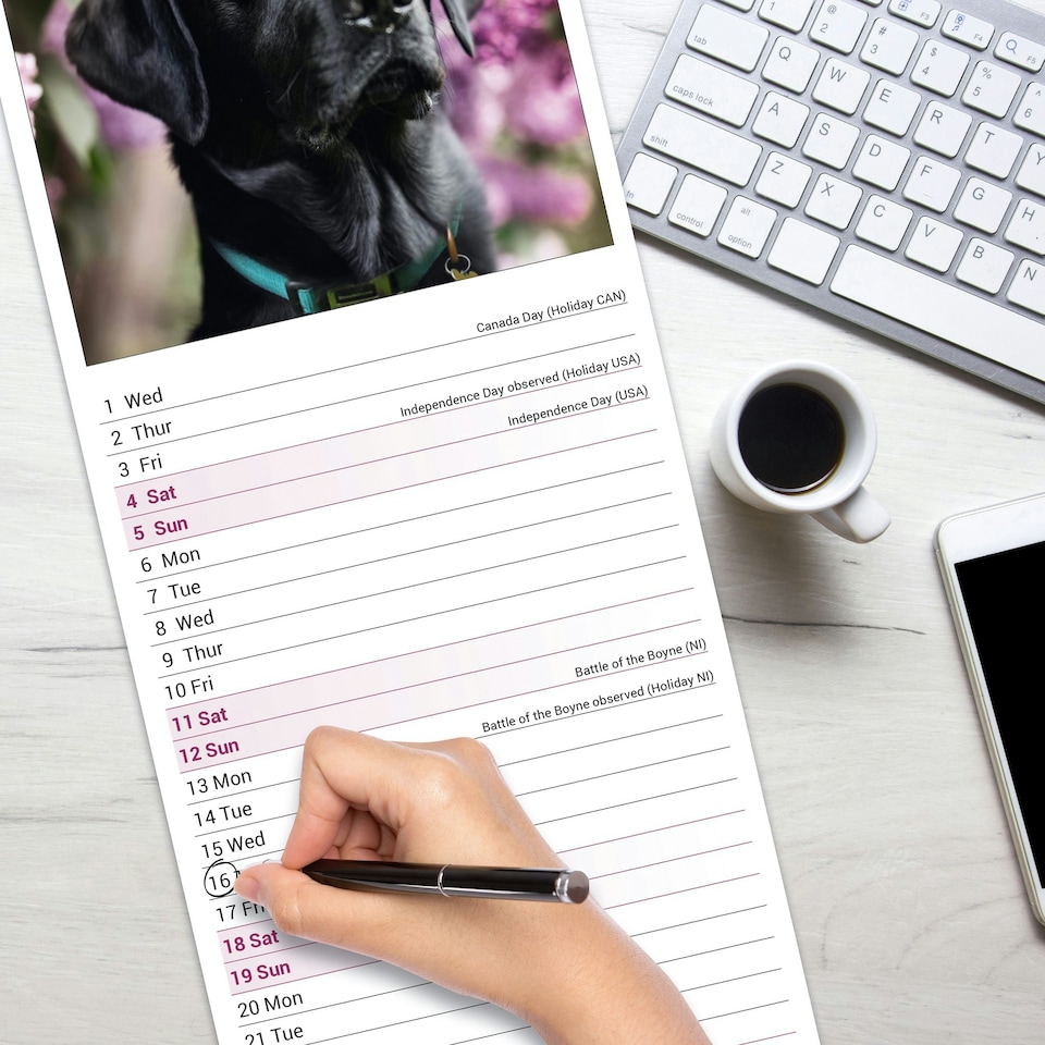 image 1 of Black Labrador Retriever Slim 2026 Calendar | Slimline Wall Calendar | Dog Breed Gift | Plastic Free Packaging | Avonside Publishing Ltd