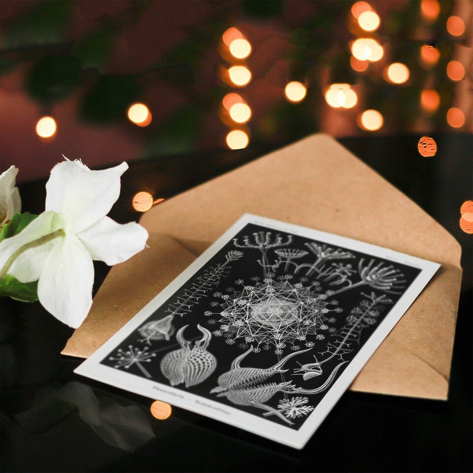 image 1 of Ernst Haeckel Art Card Phaeodaria Marine Life Illustration