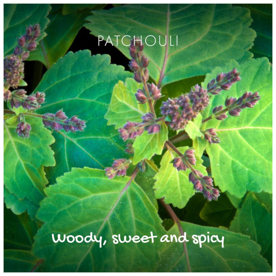 image 1 of Natural Patchouli & Sandalwood Soap On A Rope | Brown