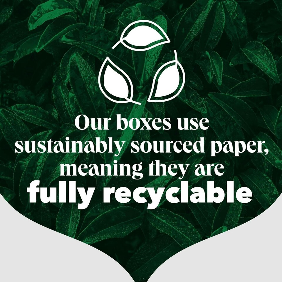 image 1 of PG Tips Original | Black Tea Bags Bulk | Refreshing, Flavourful & Full-bodied | 4 x 210 Tea Bags | 840 Plant Based Biodegradable Teabags 4