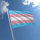 image 4 of Transgender Pride Flag - 5x3ft Support Flag Multi
