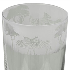 Animo Glass Highball Glass Etched Tumbler Zebra