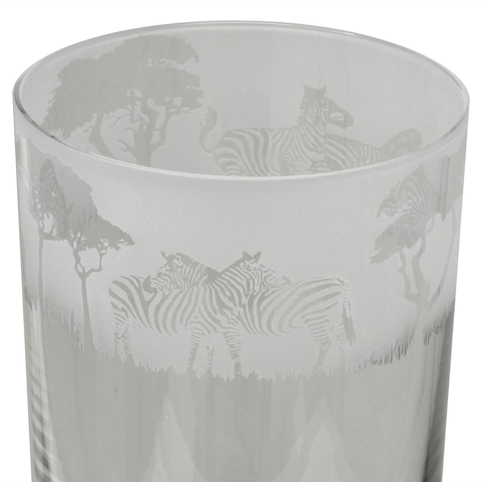 Animo Glass Highball Glass Etched Tumbler Zebra