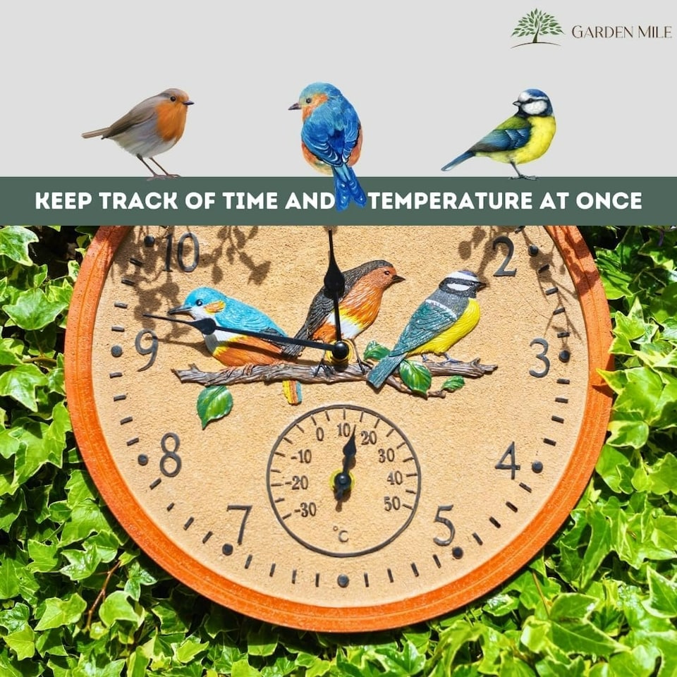 image 1 of Marco Paul 30cm Multicoloured Bird Design Clock and Thermometer Multi