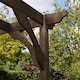 image 5 of Premium Pergola - Wood - L300 x W300 x H270 cm - Rustic Brown