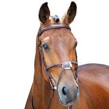 Salisbury Brackley Leather Stitch Horse Bridle - Australian Nut - Pony