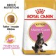 image 1 of Royal Canin Maine Coon Kitten Dry Food - 4 kg Large-Jaw Kibble with Digestive and Immune Support | Multi | 4kg | 1