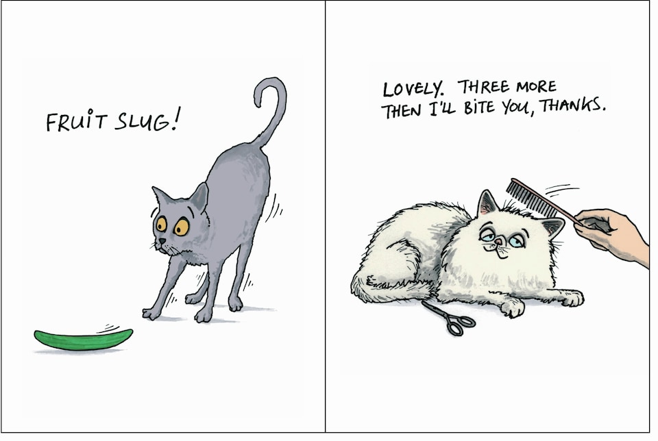 image 1 of What Is Your Cat Really Thinking