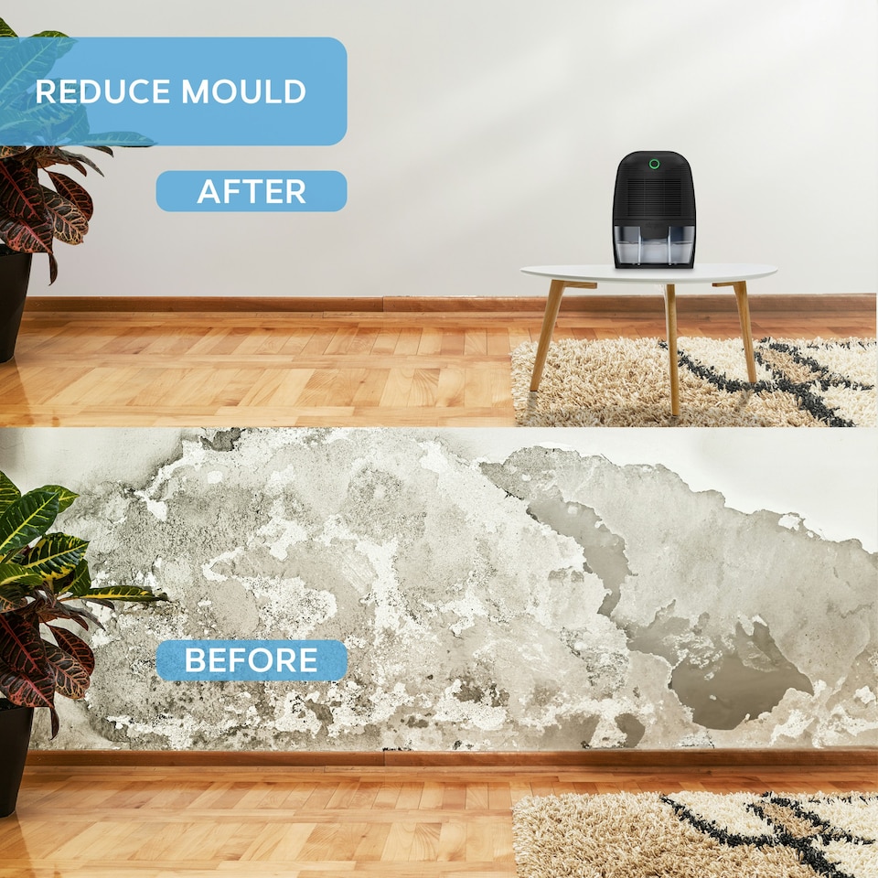 image 1 of Air Pro Mini Dehumidifier Portable Electric Mould & Damp Remover 300ml/Day  Moisture Absorber 600ml Water Tank Condensation Remover | Black | Black | 1