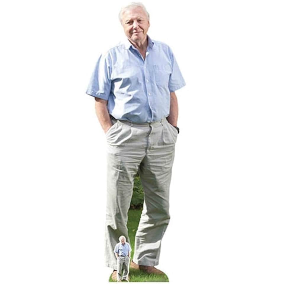 David Attenborough Lifesize Cardboard Cutout 178cm