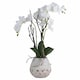 image 1 of Orchid in Stone Pot Artificial Flower - Plastic - L46 x W46 x H70 cm - White