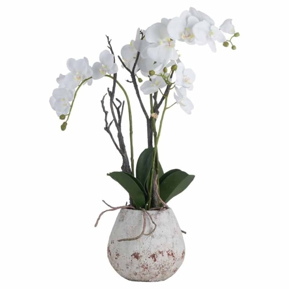 image 1 of Orchid in Stone Pot Artificial Flower - Plastic - L46 x W46 x H70 cm - White