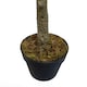image 7 of True Products Premium Artificial Olive Tree 170cm Tall Green | One Size