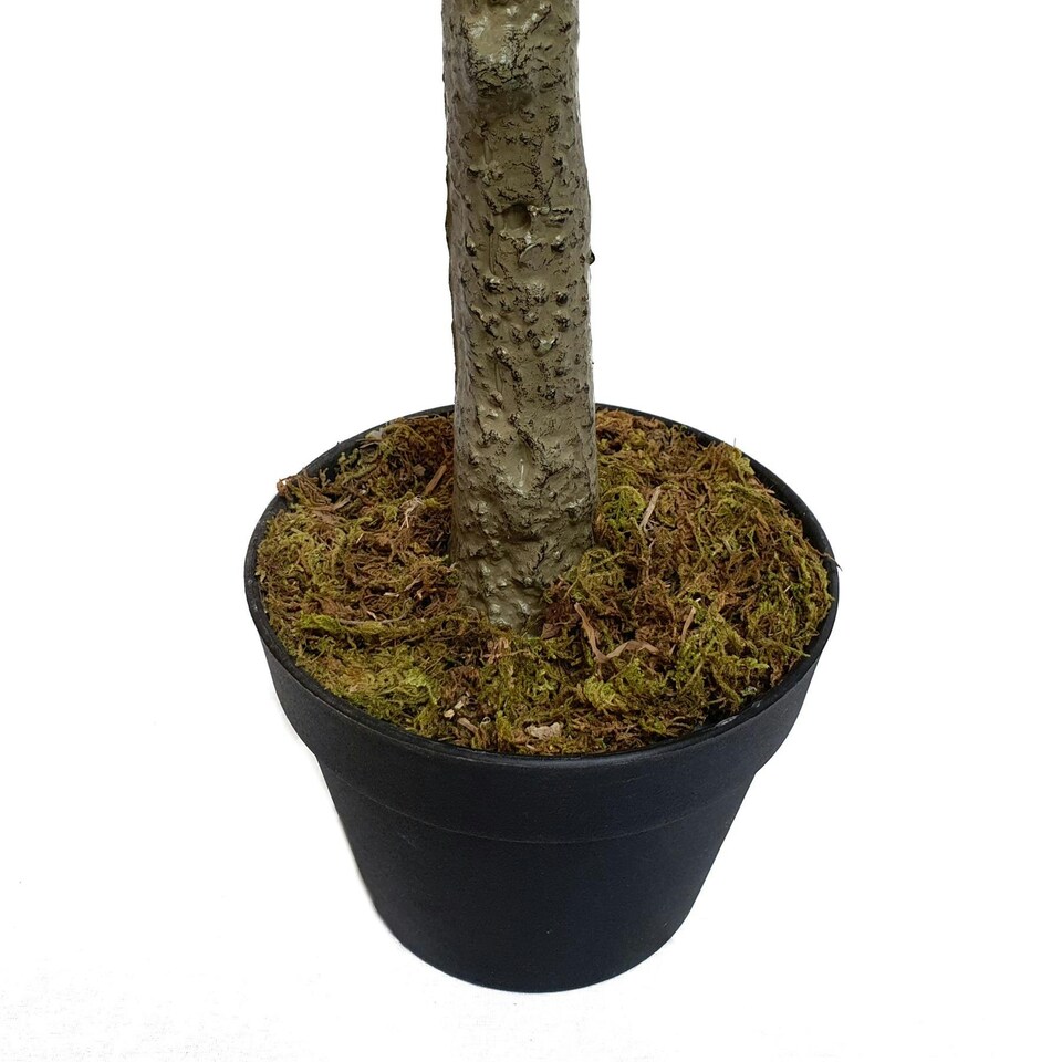 image 1 of True Products Premium Artificial Olive Tree 170cm Tall Green | One Size