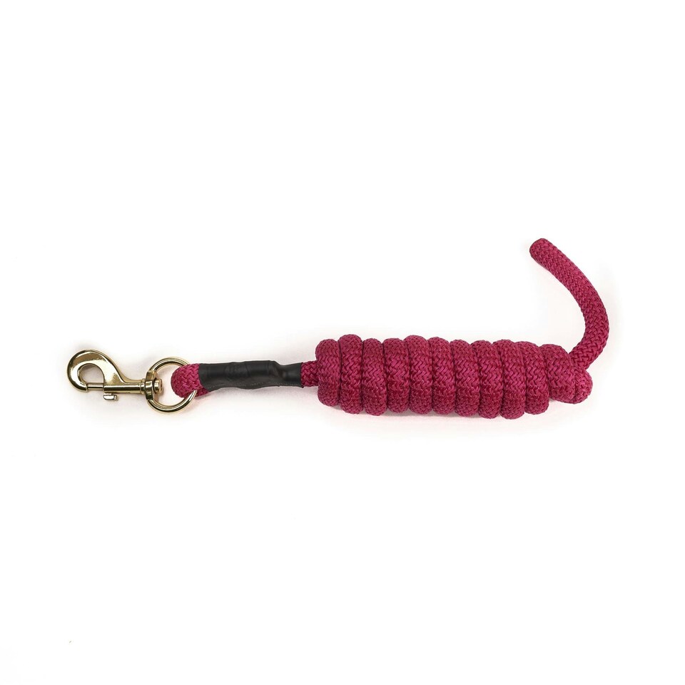 image 1 of Shires ARMA Lead Rope Green | Size: 2M
Colour: Green