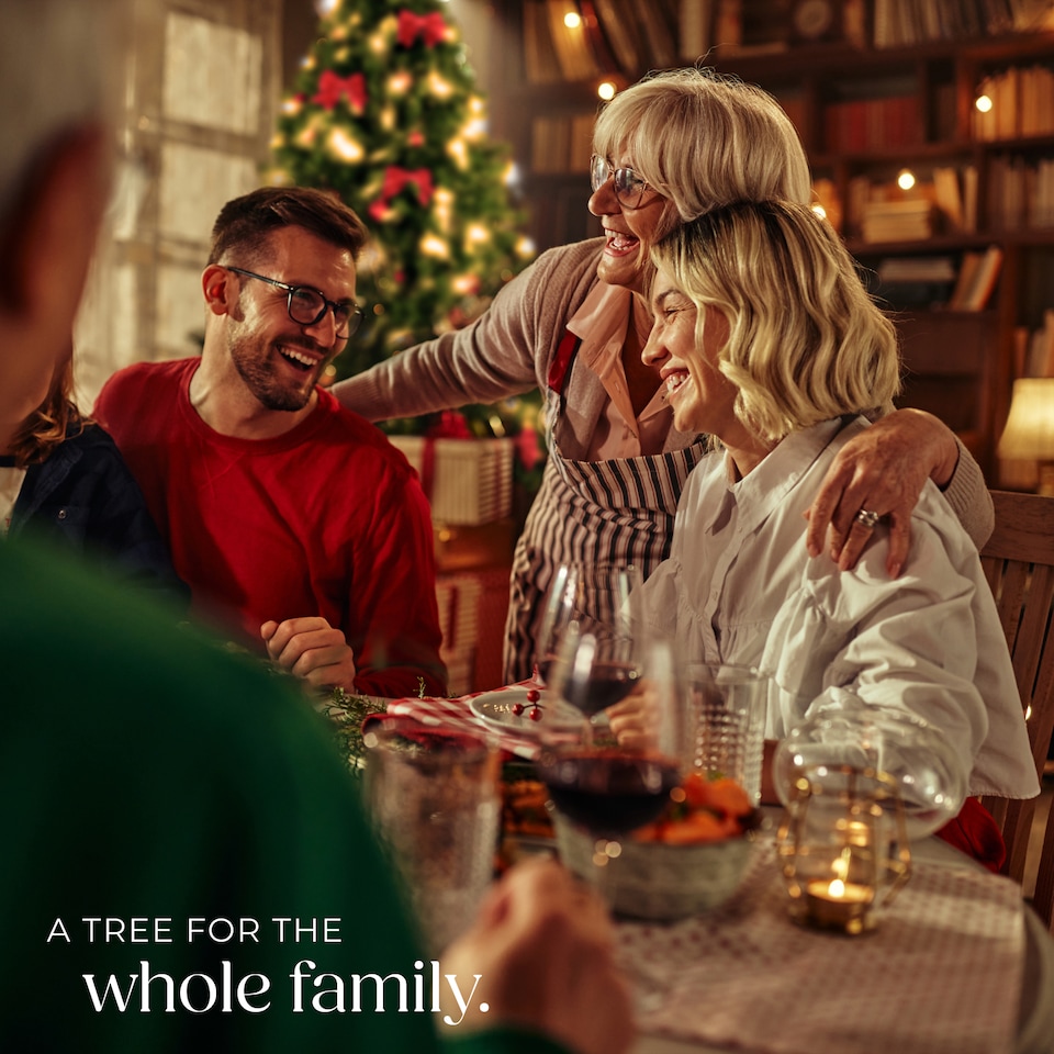 image 1 of Christmas Tree Blitzen - 180 cm tall, green PVC needles, frosted tips, with stand