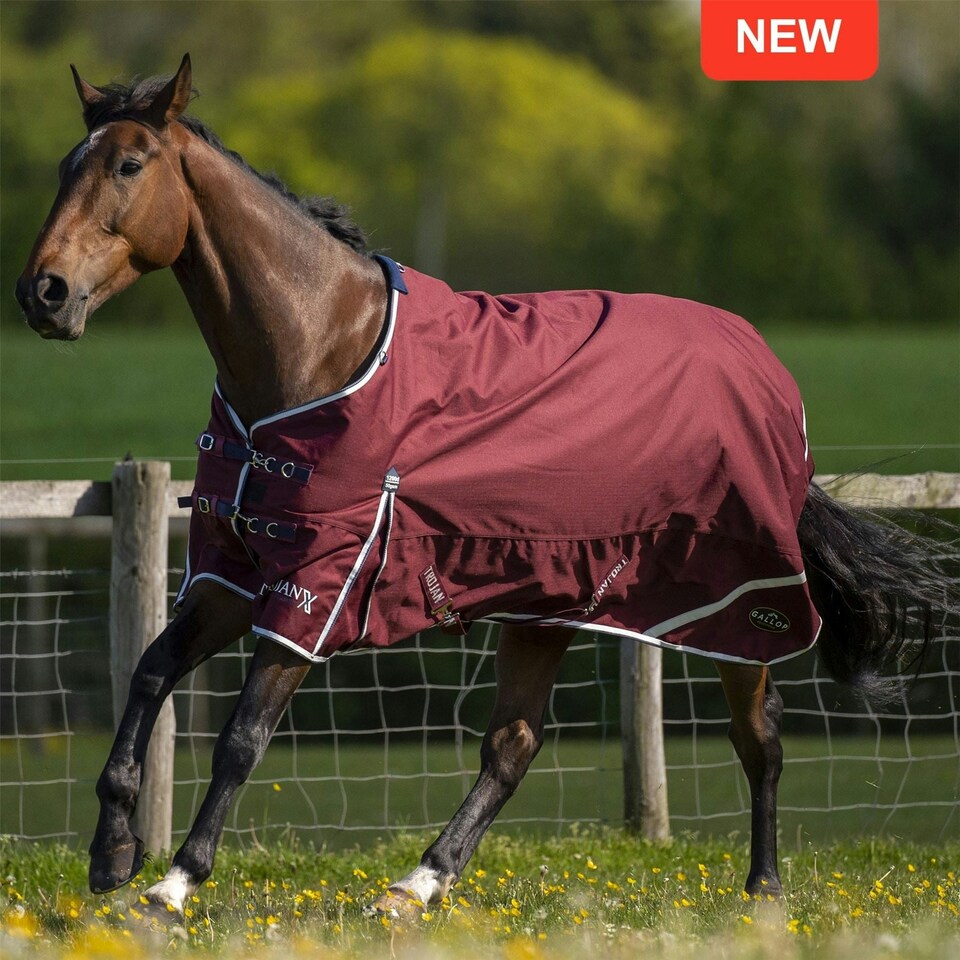 image 1 of Gallop Equestrian Trojan Xtra 50 Turnout Red | Size: 6ft 6
Colour: Burgundy
