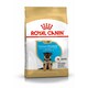 image 1 of Royal Canin Dog German Shepherd Puppy - 3KG