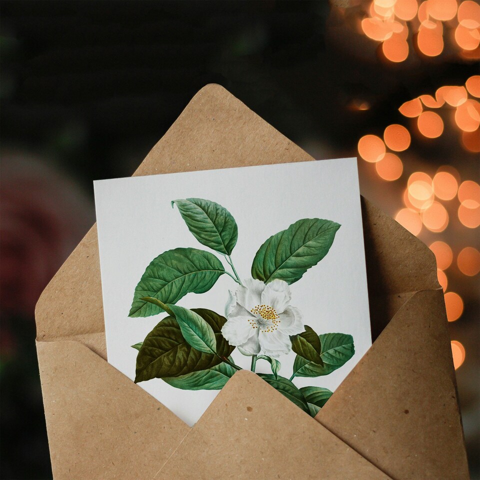 image 1 of Pierre-Joseph Redouté Art Card Mountain Camellia Flower