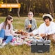 image 6 of GEEZY Insulated Cooler Bag and Folding Picnic Basket Grey 35L